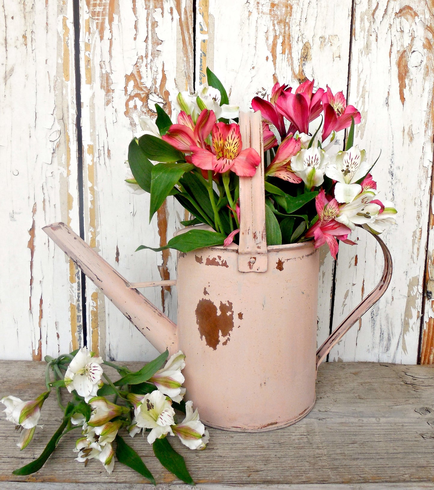 Tickled Pink Sweet Pickins Milk Paint